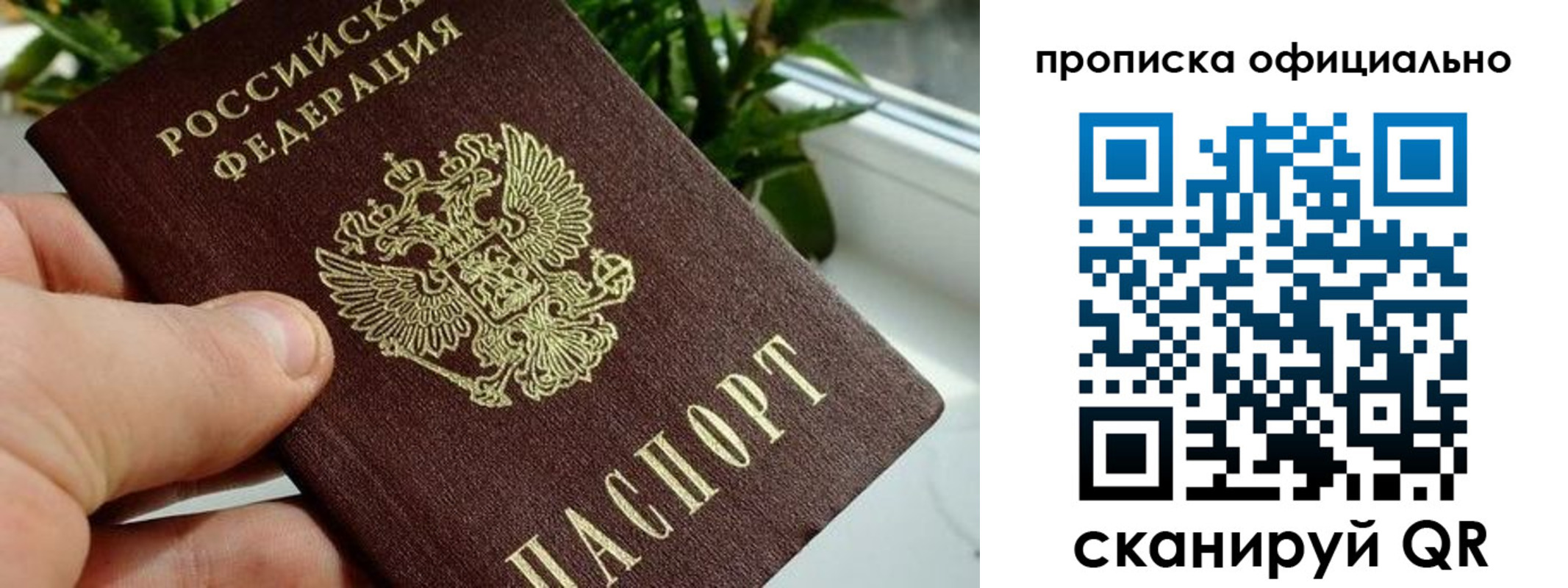 прописка поиск в Баксане